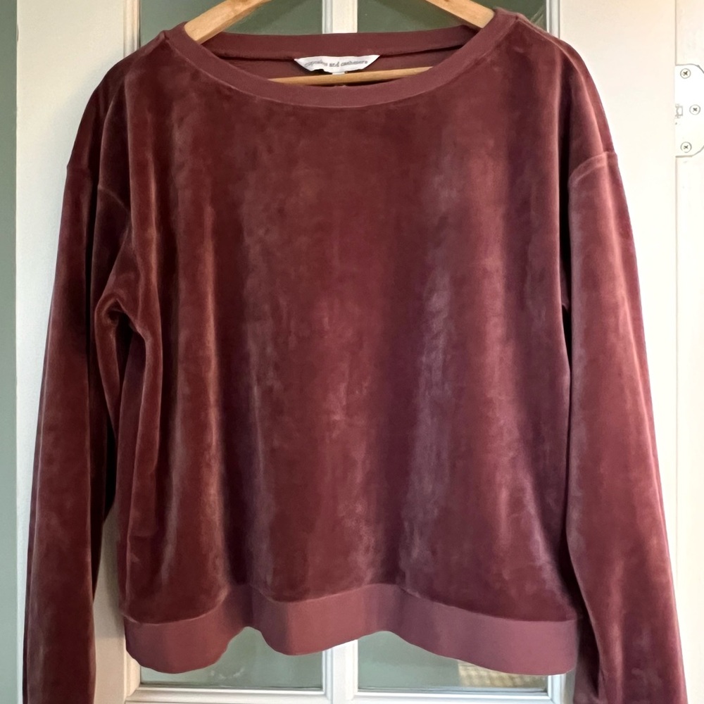 Velvet Sweatshirt - Burgundy